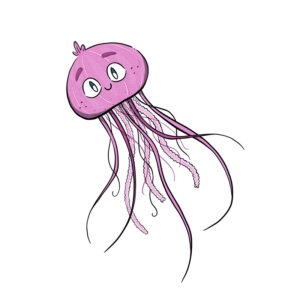 lawrence picto meduse