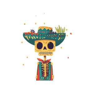 color flow visuel coco tequila