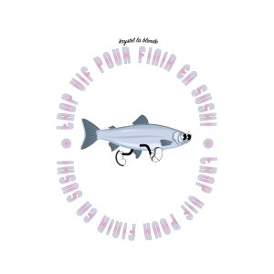 krystel visuel sushi