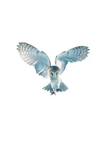 camcha crepuscule logo