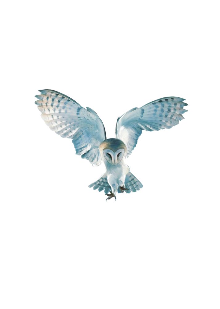 camcha crepuscule logo